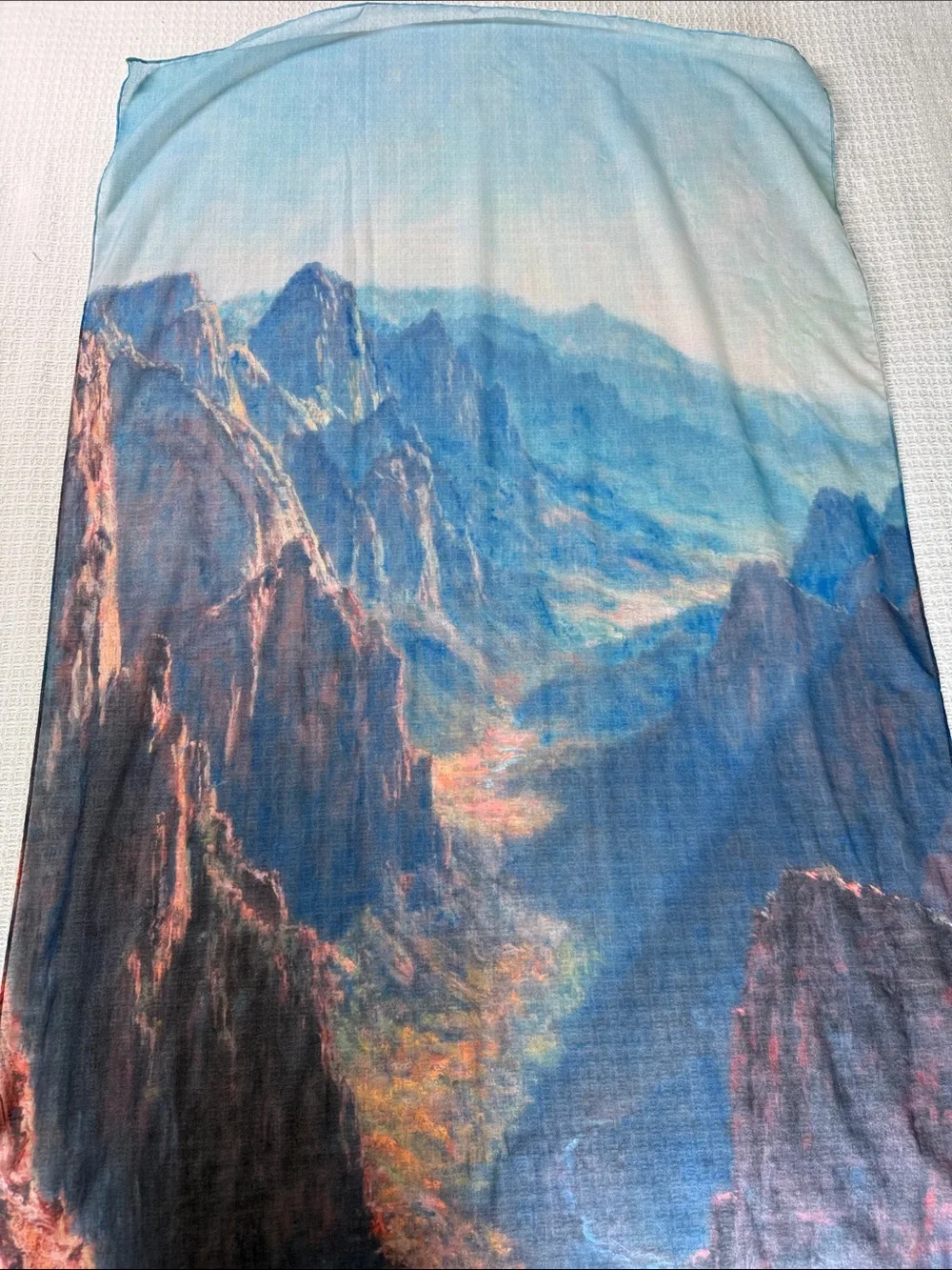 McGovern & Co The Park Scarf- National Park Grand Canyon scene Art to Wear